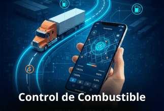 sdaadasda (5) control de combustible